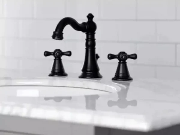Benefits of Having a Black Finish Kitchen Faucet