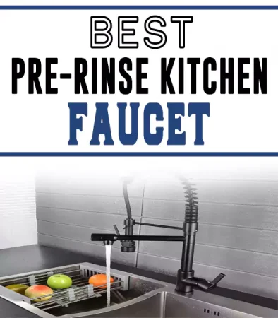 Best Pre-Rinse Kitchen Faucet