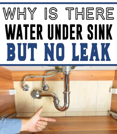 Why Is There Water Under Sink But No Leak